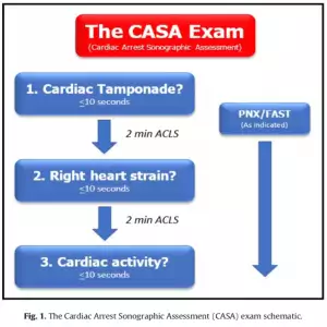 CASA exam